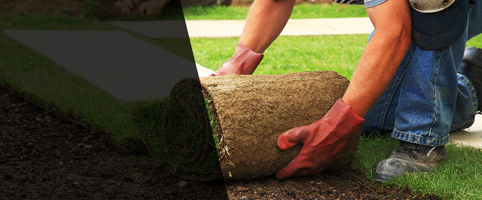 East Sandwich Landscapers